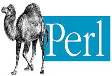 perl 模式匹配参数详解